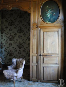 Castles / chateaux  for sale - pays-de-loire - 17th, 18th & 19th century chateaux-in a 93 ha (230 acre) estate in south Sarthe 