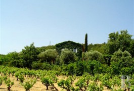 les mas &agrave; vendre - paca - Proche de Grimaud,-mas du 18&egrave;me dans les vignes