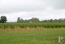 les domaines viticoles &agrave; vendre - aquitaine - Au coeur du M&eacute;doc,-grand vignoble cru bourgeois


