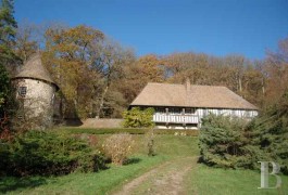 Manors for sale - upper-normandy - Normandy-style manor house -in Upper Normandy