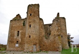 Historic buildings for sale - limousin - Listed ruins of a 15th century manor house in 5.5ha / 13.6 acres in the Limousin region