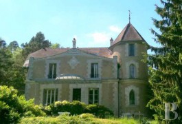 les demeures &agrave; vendre - ile-de-france - Au sud de l�Essonne, maison de ma&icirc;tre-du 19&egrave;me S. et sa d&eacute;pendance au bord de l�eau