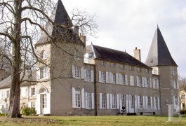 Castles / chateaux for sale - burgundy - 18th & 19th century castle-in North Burgundy