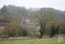 les demeures &agrave; vendre - pays-de-loire - Vall&eacute;e du Loir,-propri&eacute;t&eacute; sur 7 hectares