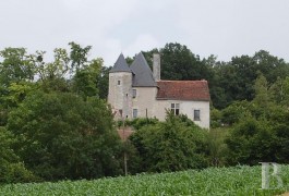 Castles / chateaux for sale - poitou-charentes - Small medieval castle-in the Creuse Valley
