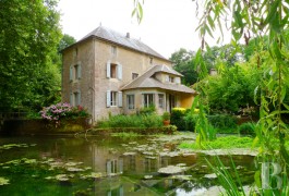 Character houses for sale - poitou-charentes - Two mills, an artist�s house,- in the Poitou region