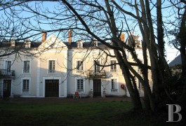 Castles / chateaux for sale - center-val-de-loire - 19th century castle -50 miles south of Paris