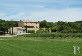 Traditional Provencal cottages & farmhouses for sale - languedoc-roussillon - Large, traditional local farmhouse amidst lavender and truffle-growing oaks
