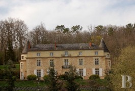 Castles / chateaux for sale - aquitaine - 16th C. castle -with 40 acres