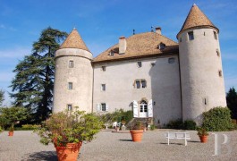 les ch�teaux &agrave; vendre - rhone-alpes - Aux portes de Gen&egrave;ve-Ch&acirc;teau du 15&egrave;me S.