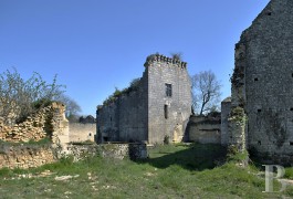 les ruines à vendre - poitou-charentes - En Poitou, logis Médiéval,-son donjon du 13ème S. et ses remparts