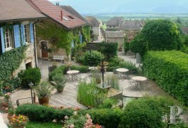 Vineyards for sale - rhones-alps - Between Lyon-and Geneva
