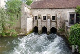 Manors for sale - ile-de-france - Waterside manor house -53 miles south of Paris