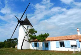 Mills for sale - ile-de-france - Sur une &icirc;le Vend&eacute;enne, maison de plage pieds dans l�eau, avec son moulin