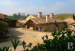 Character houses for sale - poitou-charentes - 15th century village house -in the Poitou region