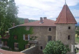 les ch�teaux &agrave; vendre - rhone-alpes - Dans la Dr&ocirc;me,-un authentique ch&acirc;teau m&eacute;di&eacute;val