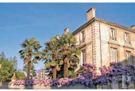 Mansion houses for sale - aquitaine - 19th century mansion house in Bordeaux