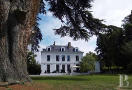 les demeures &agrave; vendre - ile-de-france - En r&eacute;gion bellifontaine,-pavillon Louis XV