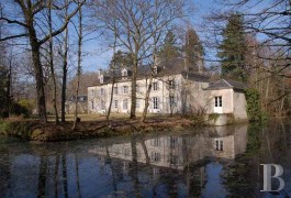 Residences for sale - center-val-de-loire - 595 acre estate including 340 acres of woods near Orleans 