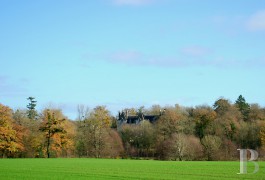 Castles / chateaux for sale - poitou-charentes - In the Poitou region,-17th & 19th century castle 