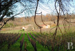 les maisons de caract�re &agrave; vendre - poitou-charentes - En Charente, petit Logis du 17&eacute;me S.,-et ses 17ha de terres et vignes