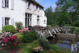 Character houses for sale - center-val-de-loire - 15th century, fully restored mill in 22 ha -(54.4 acres) in South Sologne