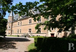 Castles / chateaux for sale - burgundy - A 15th century, flamboyant gothic style, listed castle in Burgundy 