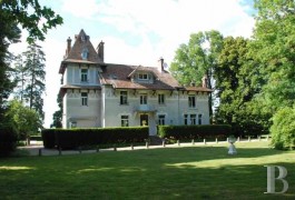 Manors for sale - ile-de-france - 38 miles from Paris, manor house -with outbuildings 