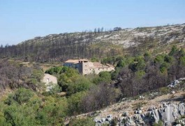 Farms for sale - languedoc-roussillon - 860 ha (2,124 acre) estate -in the Corbi&egrave;res region