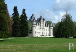 les ch�teaux &agrave; vendre - poitou-charentes - En Poitou,-ch&acirc;teau du 19&egrave;me S. et son parc de 18ha
