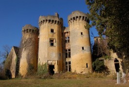Ruins for sale - aquitaine - Property featuring-
medieval castle ruins
