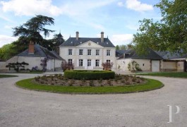 Castles / chateaux for sale - center-val-de-loire - Castle for commercial purposes, -90 minutes south of Paris