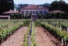 Vineyards for sale - aquitaine - Vineyard in the heart of the �Graves� region