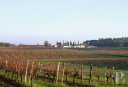 les domaines viticoles &agrave; vendre - aquitaine - Domaine de 60 ha avec demeure du 18&egrave;me si&egrave;cle et vignoble 
