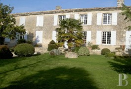Castles / chateaux for sale - aquitaine - Libournais-An 56-acre vine estate