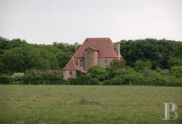 Castles / chateaux for sale - poitou-charentes - 15th century dwelling in a 20 ha (49.4 acre) estate in the Poitou region