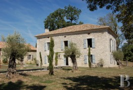 Residences for sale - midi-pyrenees - Quercy Blanc,-  leisure property in 86 acres