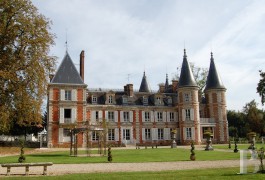 les ch�teaux &agrave; vendre - ile-de-france - Seine et Marne, ch&acirc;teau du 19&egrave;me et ses nombreuses d&eacute;pendances sur 24 hectares