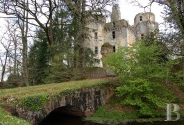Dordogne Castle for Sale