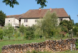 Historic buildings for sale - rhones-alps - 30 minutes from Geneva, former stronghold house between vines, woods and grasslands