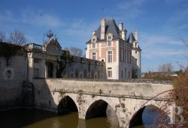 les ch�teaux &agrave; vendre - centre-val-de-loire - Entre Sologne et Touraine, -sur un domaine de 35 Ha