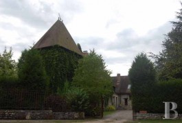 Farms for sale - ile-de-france - 17th century farm -63 miles from Paris