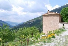 les mas &agrave; vendre - paca - Dominant une vall&eacute;e, au dessus de Nice, mas 17&egrave;me S. et ses oliviers sur 18ha