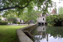 Mills for sale - ile-de-france - Waterside manor house -53 miles south of Paris