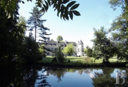 Castles / chateaux for sale - ile-de-france - Ch&acirc;teau sur son - &icirc;le priv&eacute;e &agrave; 50 mn au sud de Paris