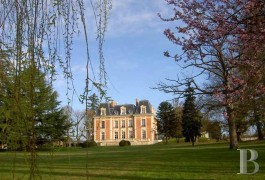Castles / chateaux for sale - ile-de-france - Louis XIII style castle and its outbuildings in the Seine-et-Marne