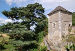 les maisons de caract�re &agrave; vendre - centre-val-de-loire - Entre Tours et Amboise : colombier 17&egrave;me S. et son ancienne maison de vigneron