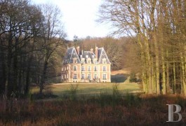 Castles / chateaux for sale - ile-de-france - Large Louis XIII style castle and its outbuildings -in 18ha (44.5 acres) on the outskirts of Paris