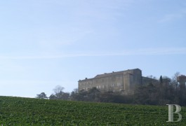 les ch�teaux &agrave; vendre - midi-pyrenees - En Lauragais,-forteresse cathare