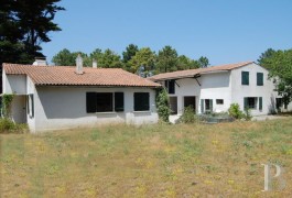 Character houses for sale - poitou-charentes - Two houses set in 8.4 acres- on �R&eacute; La Blanche�
